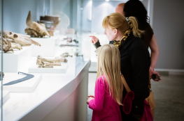 Muzeum Początków Państwa Polskiego
