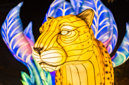 Garden of Lights - Białystok Park Dinozaurów